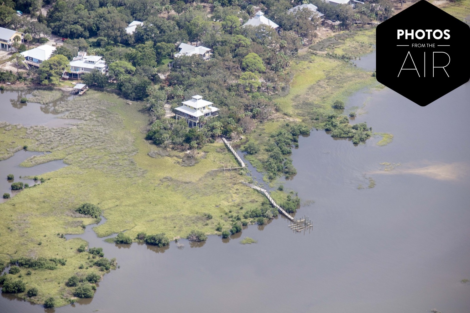 Cedar Key | _F8A1649.jpg