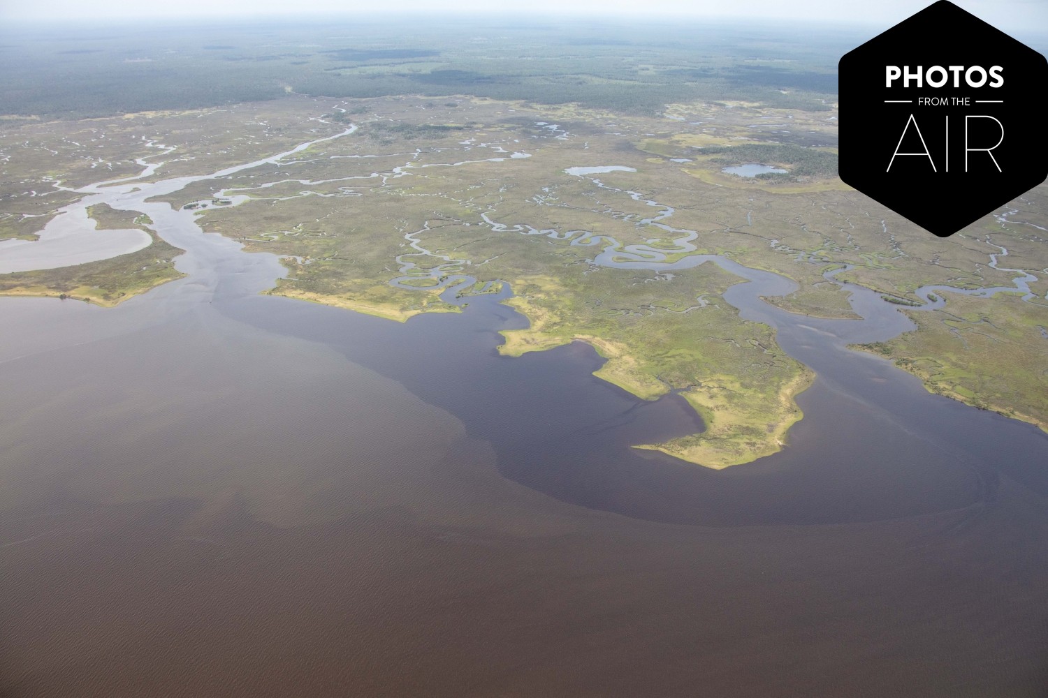 Cedar Key | _F8A1589.jpg