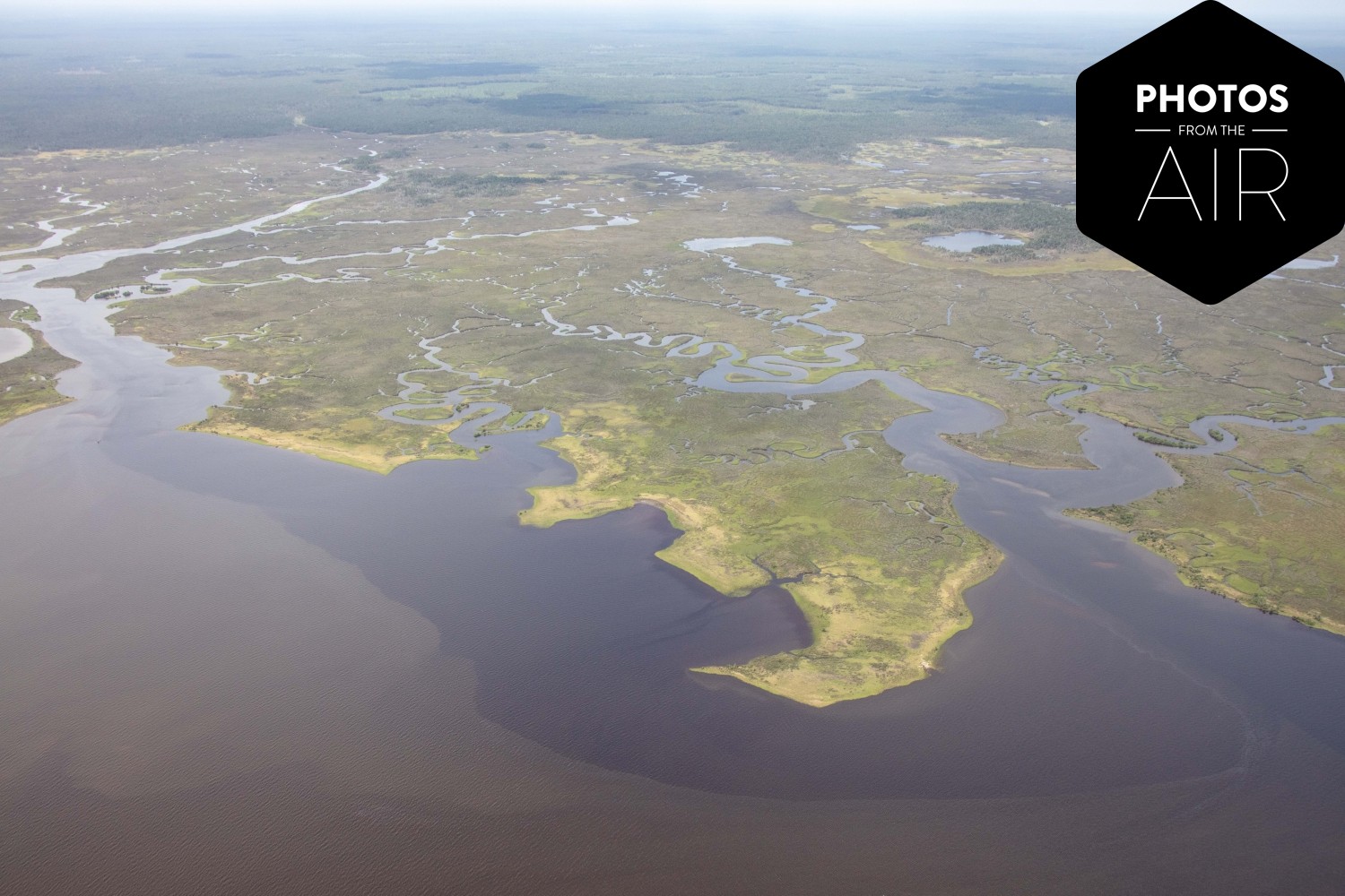 Cedar Key | _F8A1588.jpg