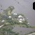 Cedar Key | _F8A1666.jpg