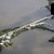 Cedar Key | _F8A1665.jpg