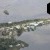 Cedar Key | _F8A1660.jpg