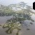 Cedar Key | _F8A1658.jpg