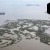 Cedar Key | _F8A1676.jpg