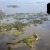 Cedar Key | _F8A1651.jpg