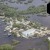 Cedar Key | _F8A1721.jpg