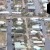 Horseshoe Beach | _F8A1886.jpg