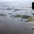 Cedar Key | _F8A1646.jpg